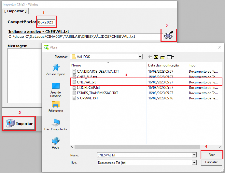 Arquivo:IMPORTA CNES VALIDOS.png