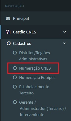 1. Acesso Numeração CNES.jpg