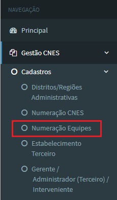 1. Acesso Gestão CNES - Numeração Equipes.jpg