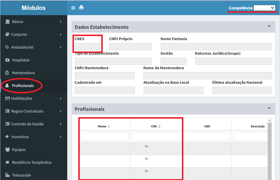 2.Orientação Consulta CNS.png