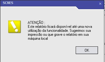 8. Popup relatório conclusão processamento cns.jpg