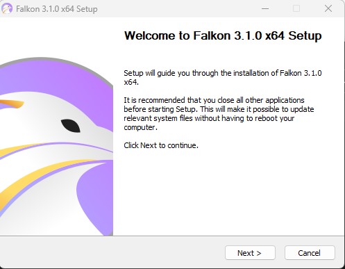 Primeira tela instalação Falkon.jpg
