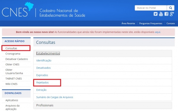 1. Consulta-Estab-Rejeitados.jpg