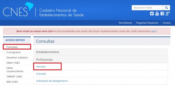 1.Consulta Prof Vinculos.jpg