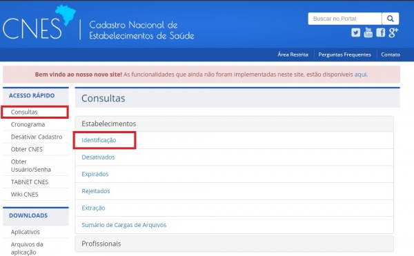 Consultas-Estab-Indentificação.jpg