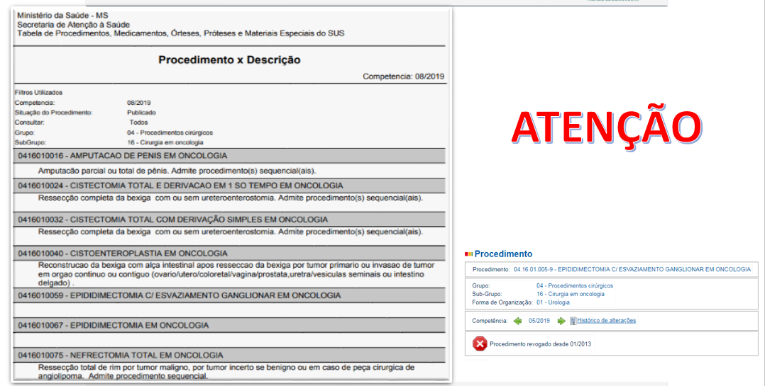 Procedimento descrição ATENÇÃO.PNG
